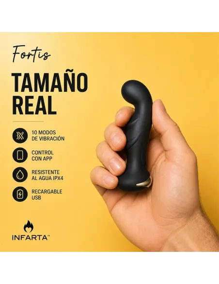 Prostate vibrator fortis | Infarta toys | Prostata